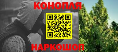 ГАЛЛЮЦИНОГЕННЫЕ ГРИБЫ Гатчина
